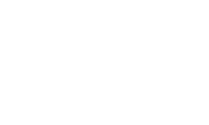 Davis Therpay Serivces logo